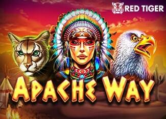 Apache Way